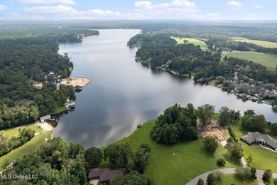 This golf course frontage lot in Canebrake is surrounded by - photo 19