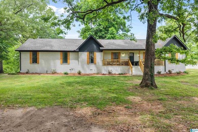 Price Improvement! Renovated one-level ranch on over 2 acres - photo 32