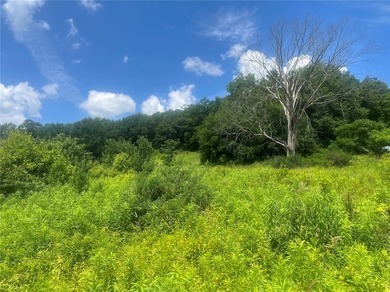 Seven acres straddling the town line between Delhi and Bovina - photo 6