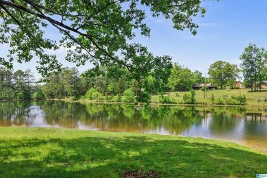Price Improvement! Renovated one-level ranch on over 2 acres - photo 44