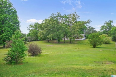Price Improvement! Renovated one-level ranch on over 2 acres - photo 49