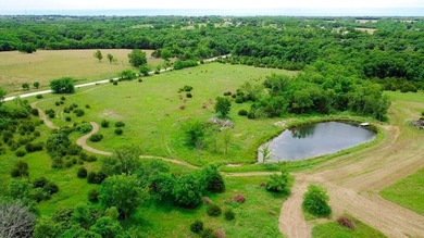 Privacy Abounds! Spectacular rolling hills with a scenic mix of - photo 4