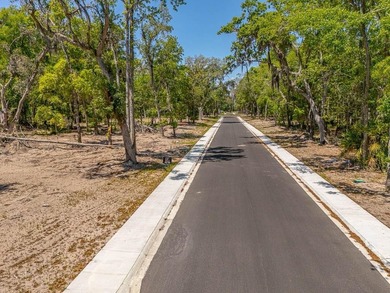 Welcome to The Canopy, a brand-new 25 lot development on - photo 21