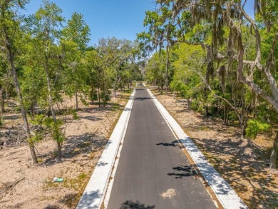 Welcome to The Canopy, a brand-new 25 lot development on - photo 22