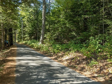 Welcome to your dream lakefront retreat on the coveted Norton - photo 31