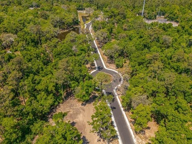 Welcome to The Canopy, a brand-new 25 lot development on - photo 34