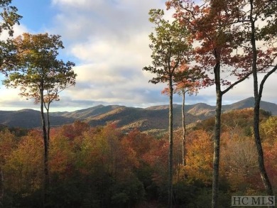 Fairfield Lake Acreage For Sale in Sapphire North Carolina