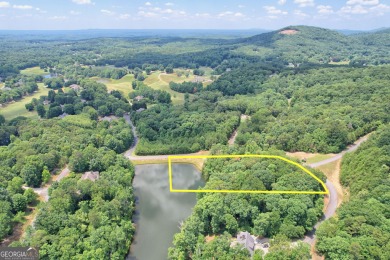 Lake Lot For Sale in Clarkesville, Georgia