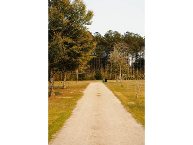 This property sits on just over three acres in a quiet, peaceful - photo 13