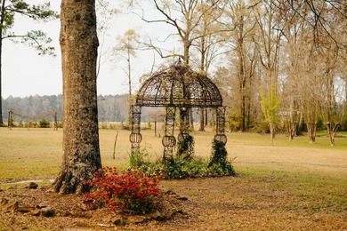 This property sits on just over three acres in a quiet, peaceful - photo 14