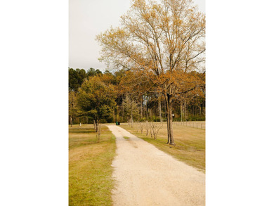 This property sits on just over three acres in a quiet, peaceful - photo 18