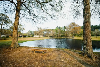 This property sits on just over three acres in a quiet, peaceful - photo 22