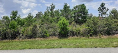 Lake Lot Sale Pending in Indian Lake Estates, Florida