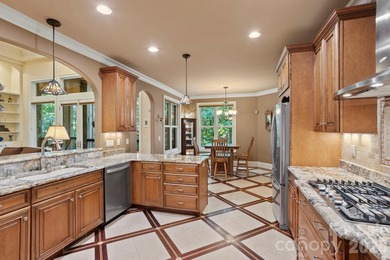 Experience the pinnacle of luxury mountain living in this - photo 9