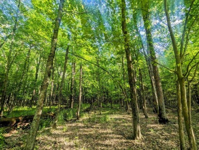 Lake Lot For Sale in Arkdale, Wisconsin