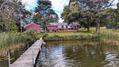 Lake Home For Sale in Linwood Twp, Minnesota