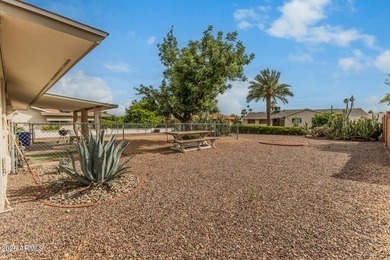 Welcome to this adorable 2-bedroom home in the popular Sun City! - photo 26