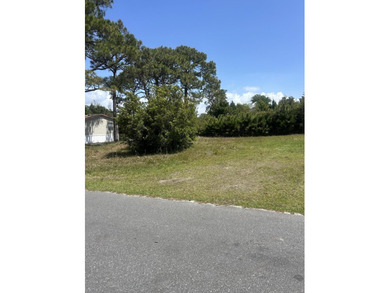 Prime vacant lot located in the desirable North Lagoon Oaks - photo 1