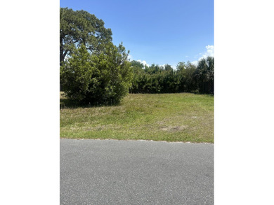 Prime vacant lot located in the desirable North Lagoon Oaks - photo 4