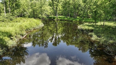 Tucked away at the end of a quiet dead-end road, this - photo 37