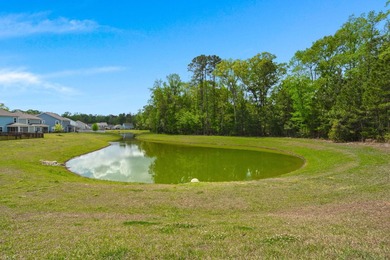 Welcome home to the postcard-perfect community of The Ponds - photo 45