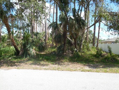 Port Charlotte Waterway Area Lot For Sale in Port Charlotte Florida