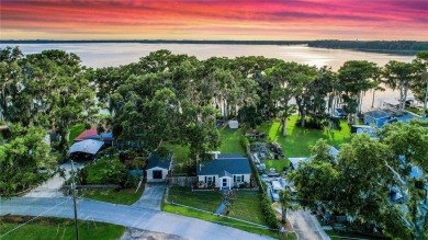 Lake Home For Sale in Leesburg, Florida
