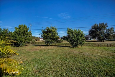 Exquisite 2021 custom-built DM Dean residence on a fully fenced - photo 47