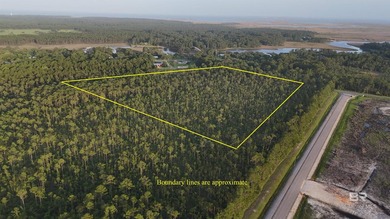 Discover a unique opportunity to own beautiful wooded acreage in - photo 4
