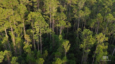 Discover a unique opportunity to own beautiful wooded acreage in - photo 5