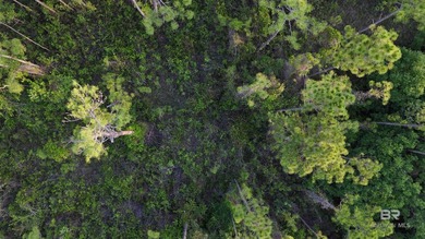 Discover a unique opportunity to own beautiful wooded acreage in - photo 6