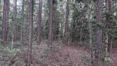 Discover a unique opportunity to own beautiful wooded acreage in - photo 7