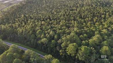 Discover a unique opportunity to own beautiful wooded acreage in - photo 9