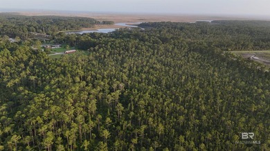 Discover a unique opportunity to own beautiful wooded acreage in - photo 10