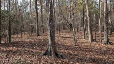 Lake Lot For Sale in Winnsboro, South Carolina