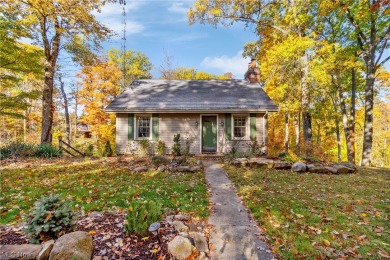 (private lake, pond, creek) Home For Sale in Berlin Center Ohio