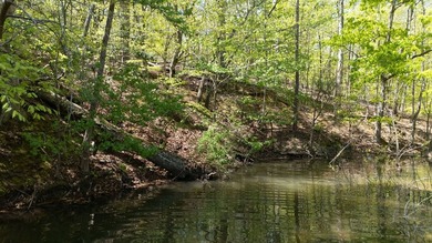 Wow! 4 acres on Lake Secession, located at the end of a quiet - photo 11