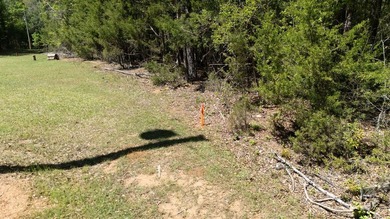 Wow! 4 acres on Lake Secession, located at the end of a quiet - photo 12
