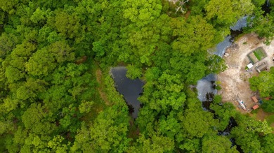 14.4 acres located just North Of the Clyde Wells Bridge for easy - photo 13