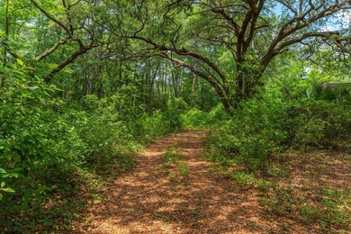 14.4 acres located just North Of the Clyde Wells Bridge for easy - photo 14