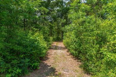 14.4 acres located just North Of the Clyde Wells Bridge for easy - photo 25