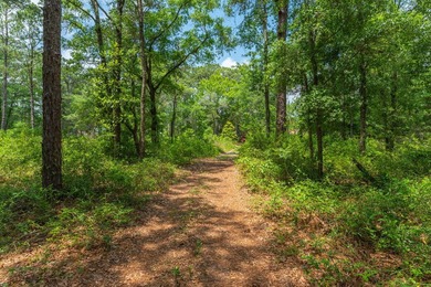 14.4 acres located just North Of the Clyde Wells Bridge for easy - photo 26