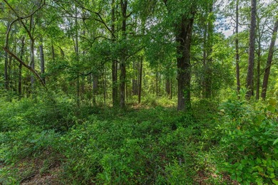 14.4 acres located just North Of the Clyde Wells Bridge for easy - photo 28