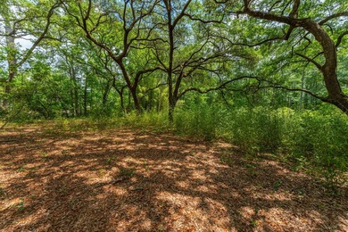 14.4 acres located just North Of the Clyde Wells Bridge for easy - photo 31