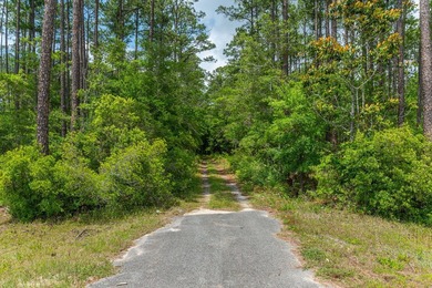 14.4 acres located just North Of the Clyde Wells Bridge for easy - photo 34
