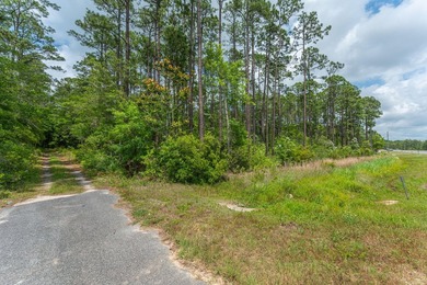 14.4 acres located just North Of the Clyde Wells Bridge for easy - photo 35