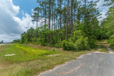 14.4 acres located just North Of the Clyde Wells Bridge for easy - photo 36