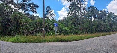 Lehigh Acres Area Lot For Sale in Lehigh Acres Florida