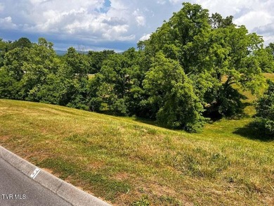 Beautiful build lot with AMAZING LAKE AND MOUNTAIN VIEWS and a - photo 3