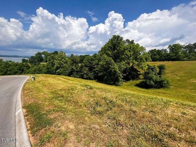 Beautiful build lot with AMAZING LAKE AND MOUNTAIN VIEWS and a - photo 4